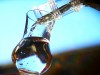 palinka