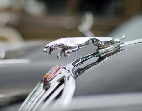 jaguarlogoemblema