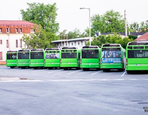 buszokpecs