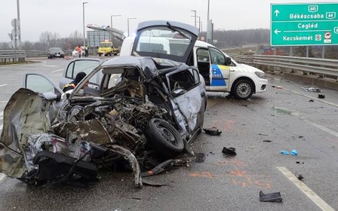 Ketten haltak meg Kecskemét mellett. Fotó: Donka Ferenc
