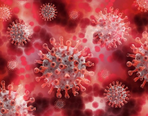 koronavirus