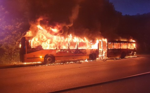 buszeg