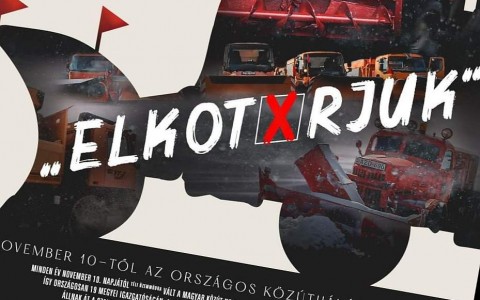 kozutkrt