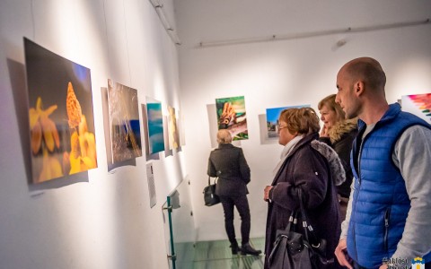 Siklósi Fotósok Tavaszi Tárlatának megnyitója 2020-ban. Fotó: Kacsúr Tamás