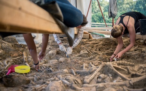 Régészek és antropológusok a tömegsír feltárásán dolgoznak Sátorhely közelében. Fotó: Sóki Tamás