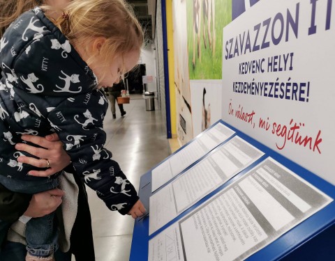 zsetondobastesco