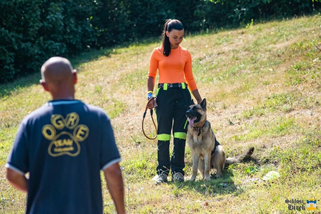 I. Kutyaparádé Siklóson