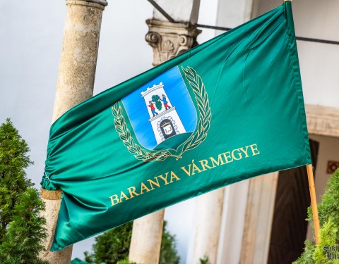 baranya-varmegye-zaszlo