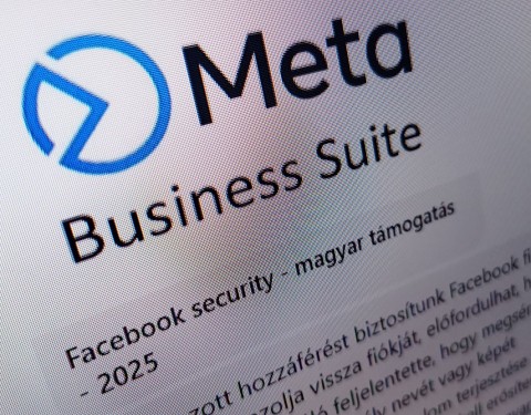 metaspam